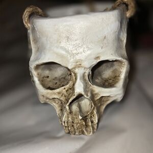 Skull flower pot